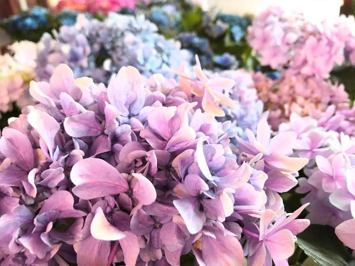 לינה וארוחת בוקר Yufuin Flora House מראה חיצוני תמונה