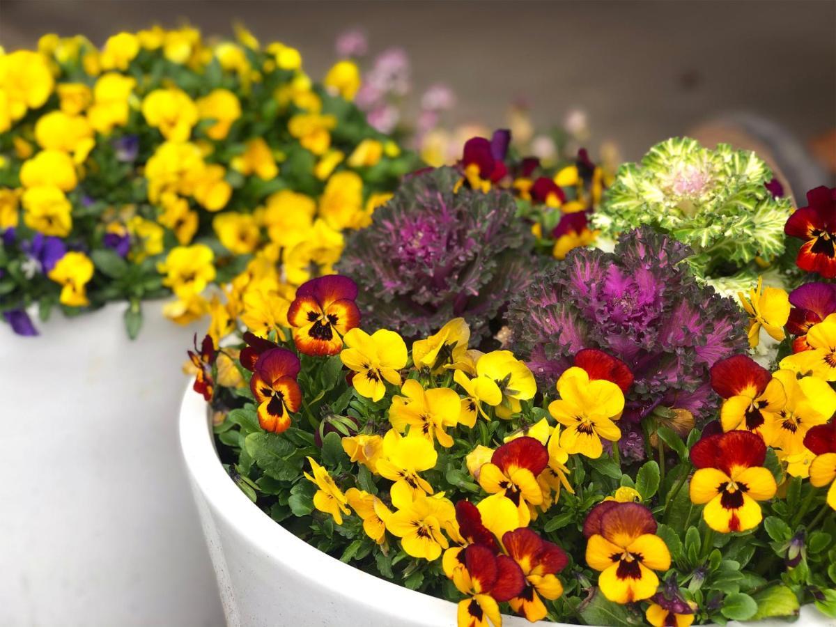 לינה וארוחת בוקר Yufuin Flora House מראה חיצוני תמונה