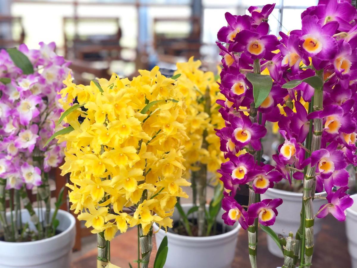 לינה וארוחת בוקר Yufuin Flora House מראה חיצוני תמונה